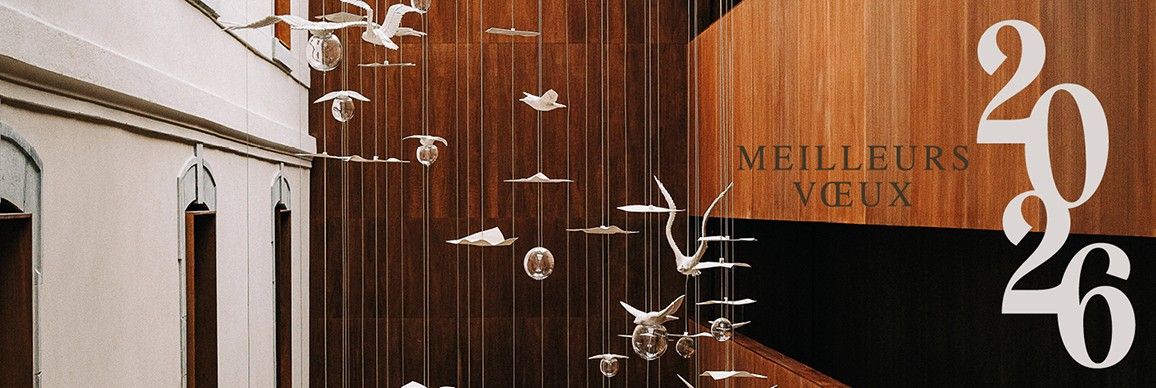 Meilleurs vœux 2026