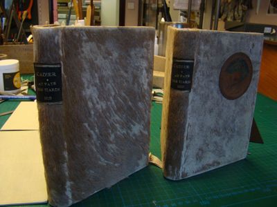 Volumes "Au pays des Isards", 8° 8915-8916.