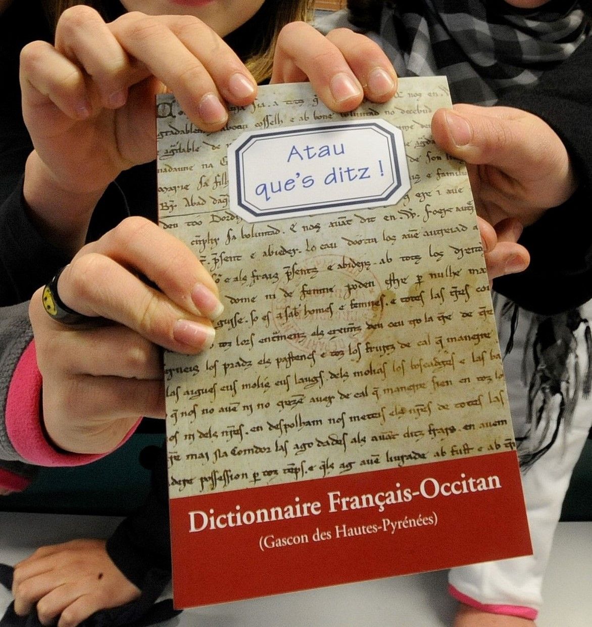 Le Comitat gascon dera lenga occitana